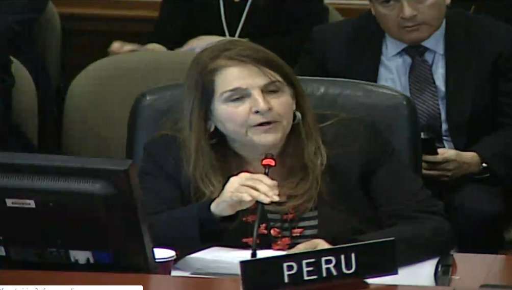 Ambassador of Peru to the OAS declares regime of Maduro illegitimate 