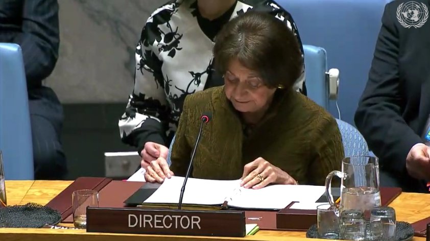 Assistant Secretary General of the UN Security Council: The situation in Venezuela causes great concern in human rights and economic issues, there must be a real and peaceful transition process