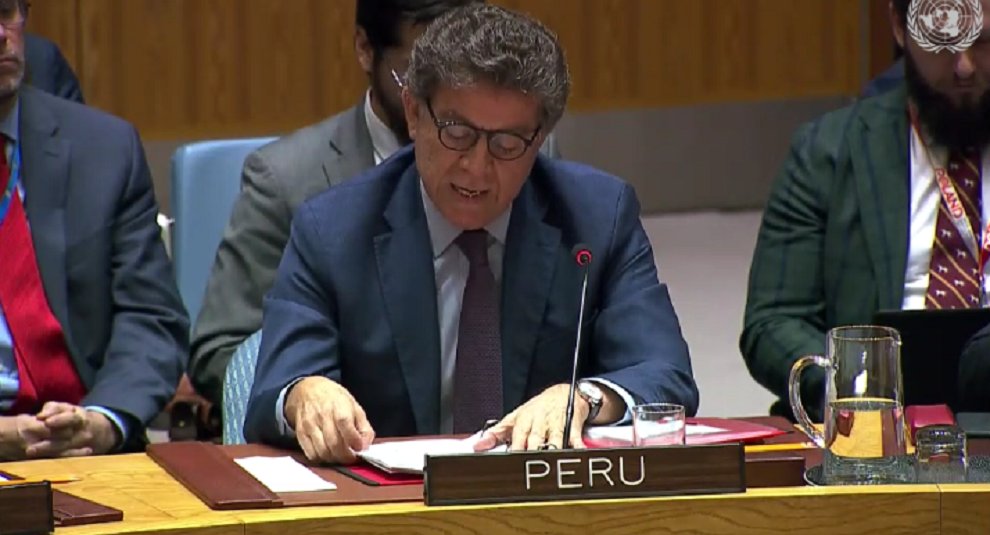 Representative of Peru in the Security Council of the UN: We have received 700,000 Venezuelan refugees and migrants due to the crisis that is the responsibility of Maduro