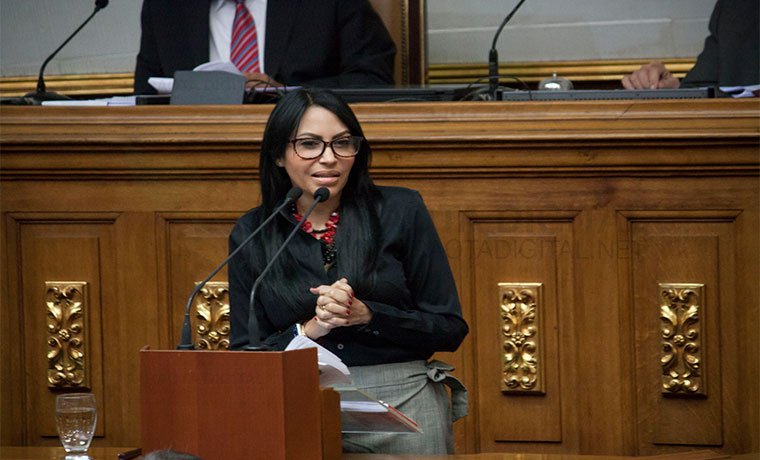 MP Delsa Solórzano at National Assembly Session: We request a criminal investigation against Rafael Bastardo Mendoza, head of Faes(Special operation forces of Venezuelan police) and Alfredo Pérez Ampueda, director of the PN, for repression in protests