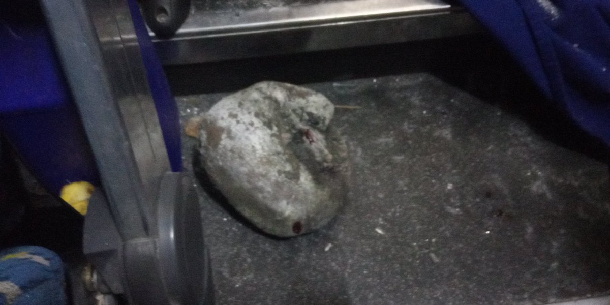 Caravan of MPs that moves to the city of San Cristóbal Táchira, was attacked by two blunt objects at the height of Guanare, Portuguesa. One of drivers seriously wounded