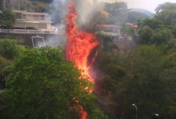 Report fire in the surroundings of the Prados del Este
