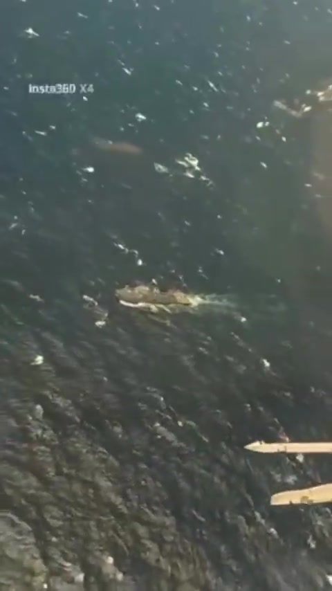 FANB releases video of F-16 fighter jets flying near a US destroyer in the Caribbean.